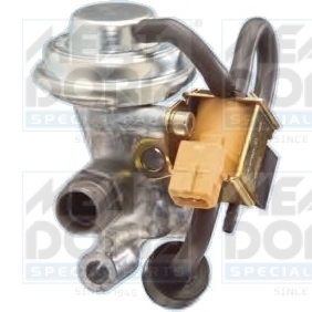 EGR Valve